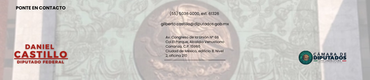 Información de Dani